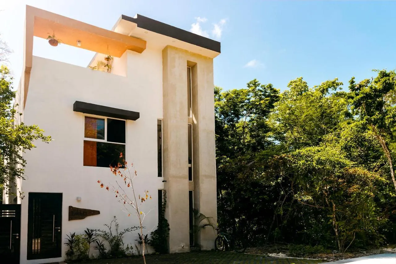 Relaxing Comfortable Jungle View Eklum Villa Rivera Maya Puerto Morelos Pool Ac Gym Gated Community Homestay