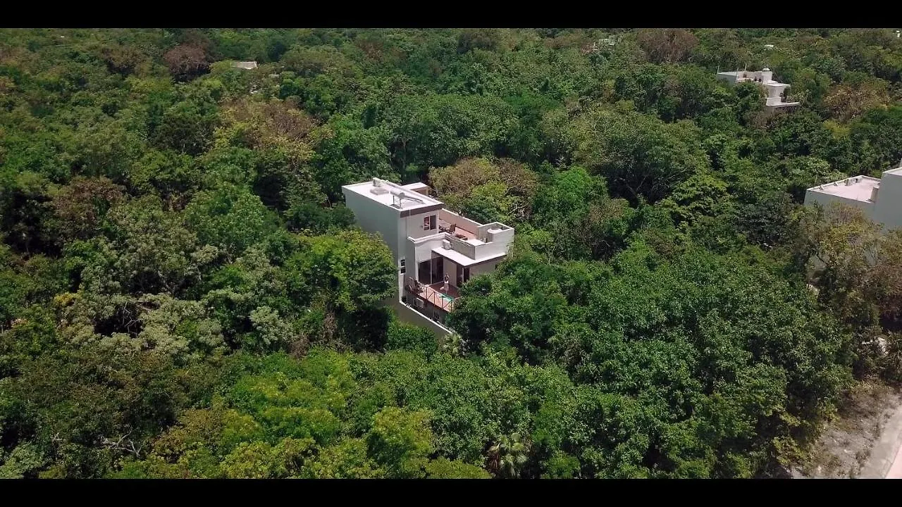 Homestay Relaxing Comfortable Jungle View Eklum Villa Rivera Maya Puerto Morelos Pool Ac Gym Gated Community