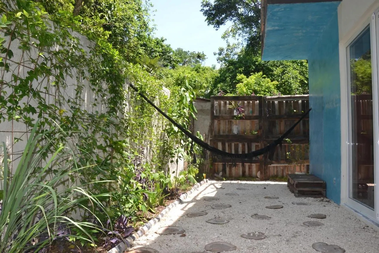 Relaxing Comfortable Jungle View Eklum Villa Rivera Maya Puerto Morelos Pool Ac Gym Gated Community Homestay