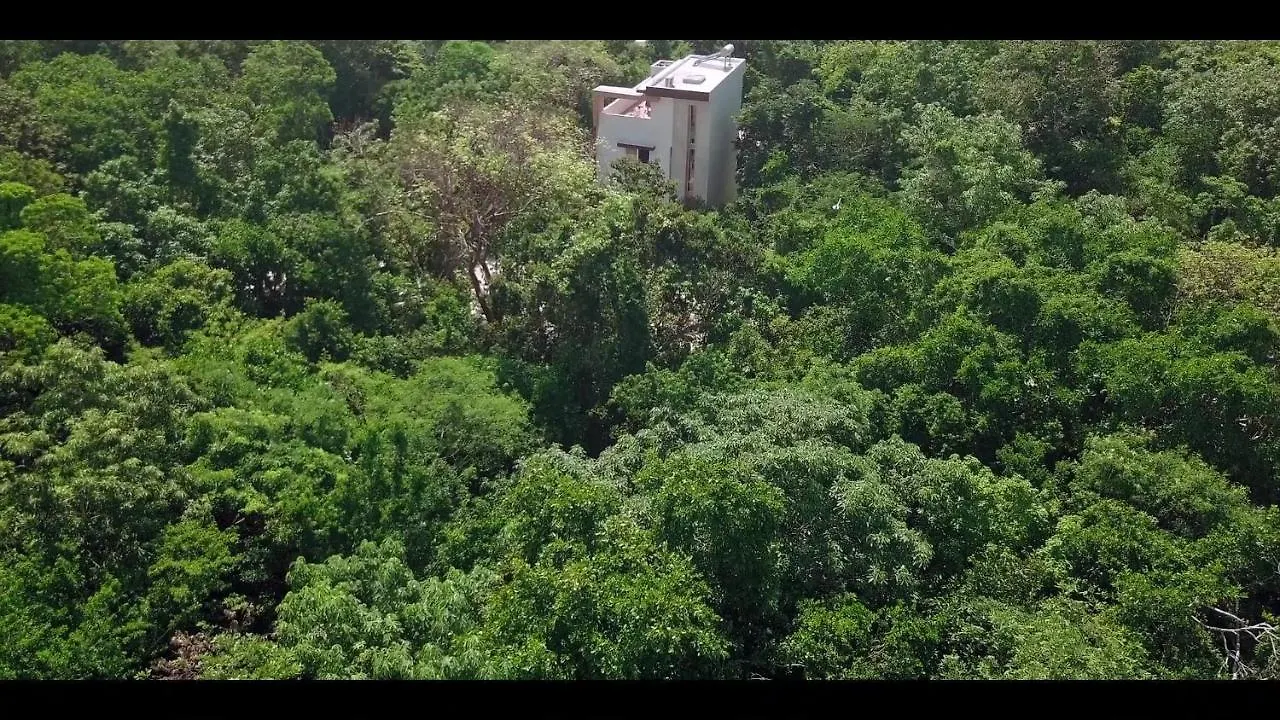 Relaxing Comfortable Jungle View Eklum Villa Rivera Maya Puerto Morelos Pool Ac Gym Gated Community Mexico