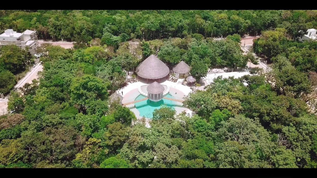 Relaxing Comfortable Jungle View Eklum Villa Rivera Maya Puerto Morelos Pool Ac Gym Gated Community Homestay