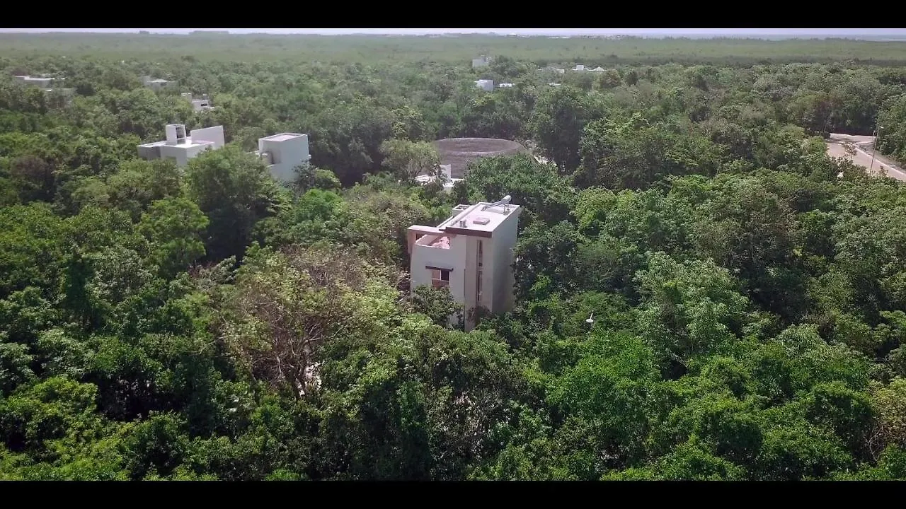 Homestay Relaxing Comfortable Jungle View Eklum Villa Rivera Maya Puerto Morelos Pool Ac Gym Gated Community Mexico