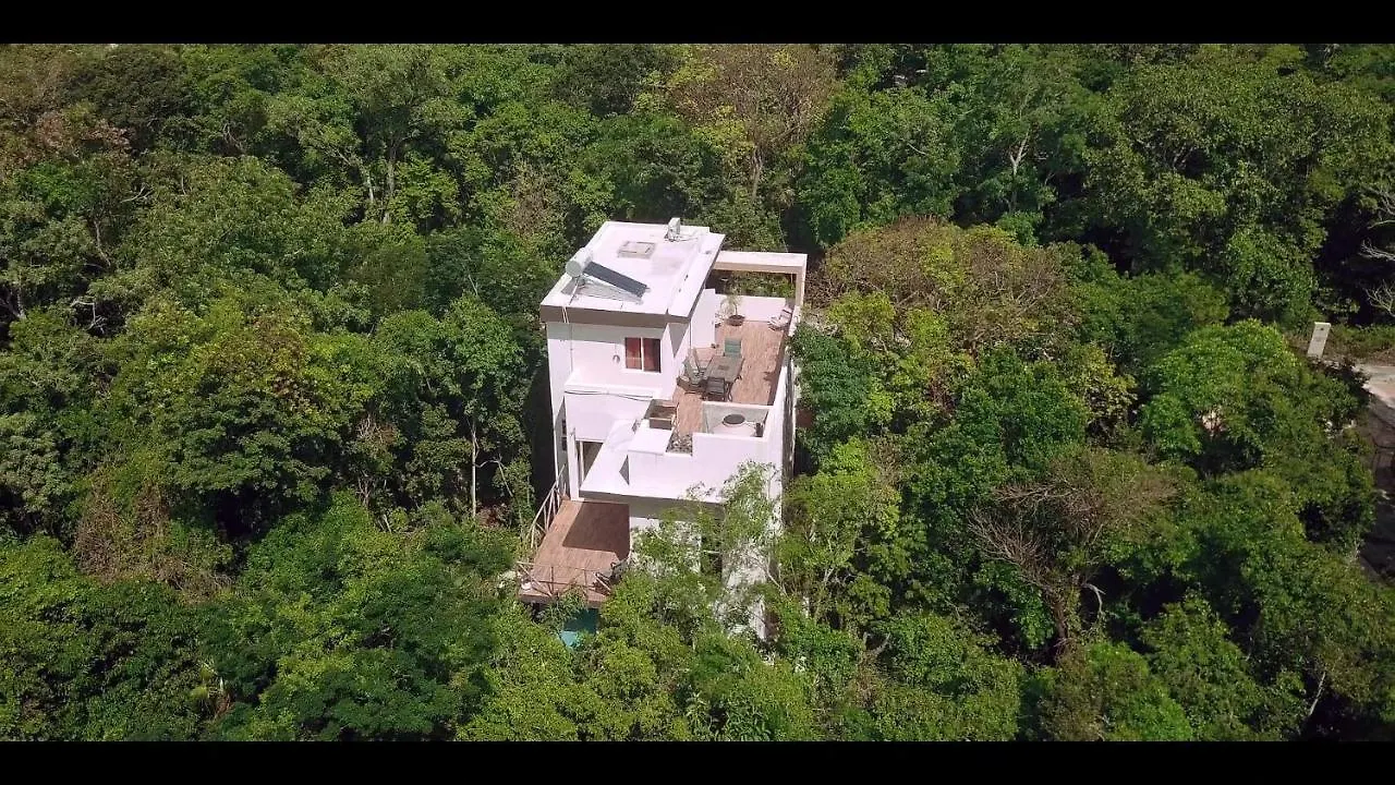 Relaxing Comfortable Jungle View Eklum Villa Rivera Maya Puerto Morelos Pool Ac Gym Gated Community 0*,